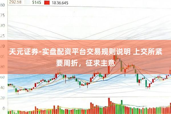 天元证券-实盘配资平台交易规则说明 上交所紧要周折，征求主意