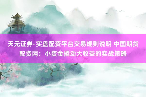 天元证券-实盘配资平台交易规则说明 中国期货配资网：小资金撬动大收益的实战策略