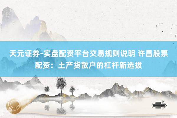 天元证券-实盘配资平台交易规则说明 许昌股票配资：土产货散户的杠杆新选拔