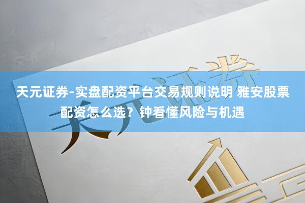 天元证券-实盘配资平台交易规则说明 雅安股票配资怎么选？钟看懂风险与机遇