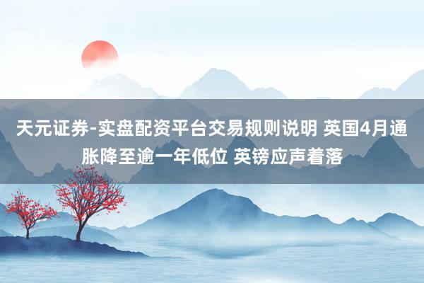 天元证券-实盘配资平台交易规则说明 英国4月通胀降至逾一年低位 英镑应声着落