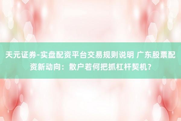 天元证券-实盘配资平台交易规则说明 广东股票配资新动向：散户若何把抓杠杆契机？