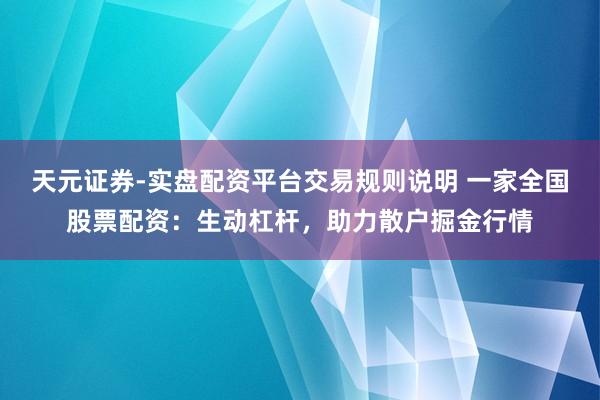 天元证券-实盘配资平台交易规则说明 一家全国股票配资：生动杠杆，助力散户掘金行情