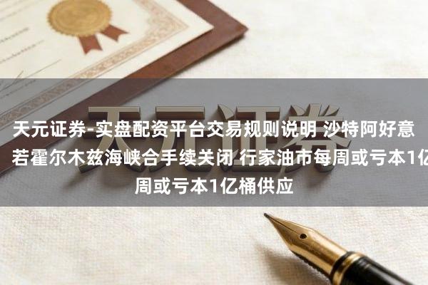 天元证券-实盘配资平台交易规则说明 沙特阿好意思CEO：若霍尔木兹海峡合手续关闭 行家油市每周或亏本1亿桶供应
