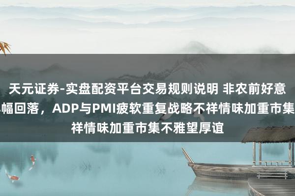天元证券-实盘配资平台交易规则说明 非农前好意思元承压小幅回落，ADP与PMI疲软重复战略不祥情味加重市集不雅望厚谊