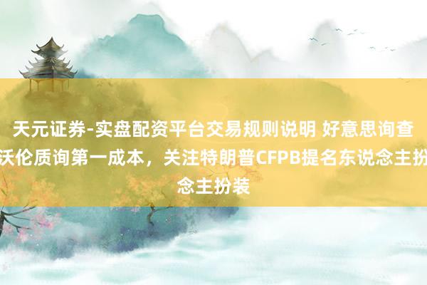 天元证券-实盘配资平台交易规则说明 好意思询查员沃伦质询第一成本，关注特朗普CFPB提名东说念主扮装